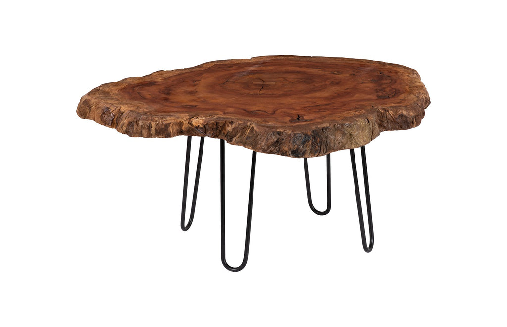 Burled Coffee Table, Black Metal Legs, Large | Phillips Collection - TH93212