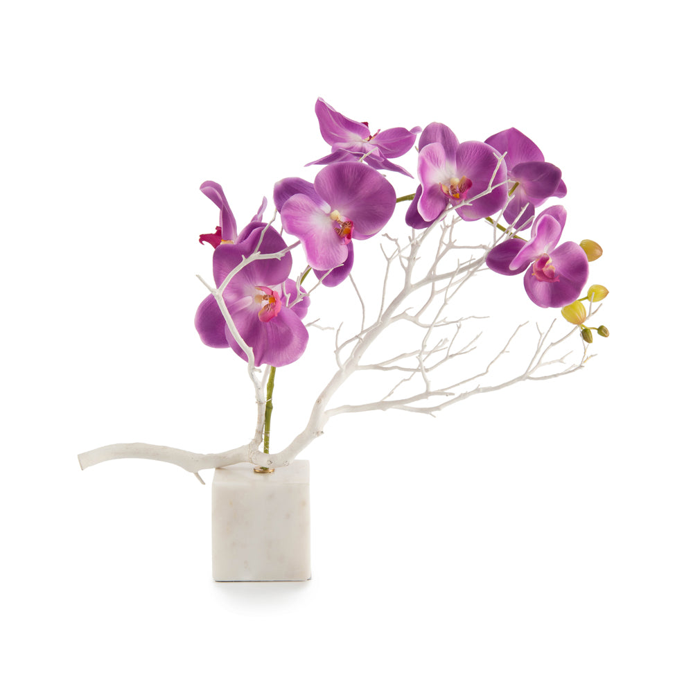 Marble Orchids | John-Richard - JRB-3635