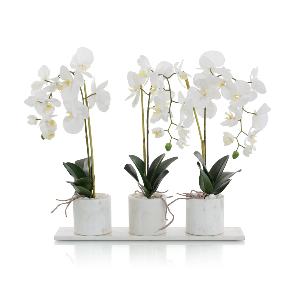 Marble Orchids | John-Richard - JRB-4709W