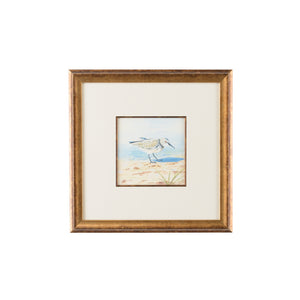 Sand Piper VI | Chelsea House - 386550