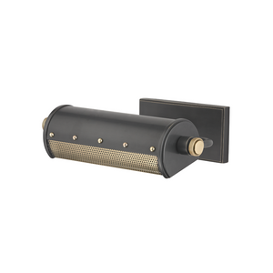 Gaines Picture Light | Hudson Valley Lighting - 2100-AOB