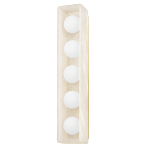 Budnick Bath And Vanity | Hudson Valley Lighting - 2325-AGB
