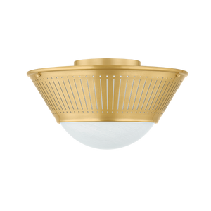 Descriptive image text