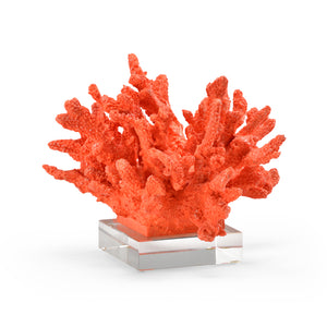 Coral | Wildwood - 292625