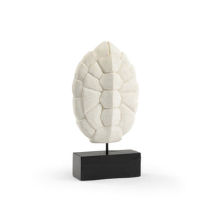 Turtle Shell | Wildwood - 300728