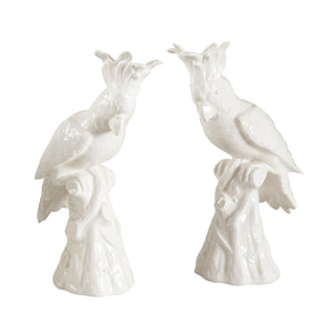 Hope Parrots (Pr) | Chelsea House - 380769