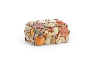 Large Shell Box | Chelsea House - 383948