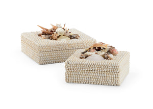 White Shell Boxes (S2) | Chelsea House - 384163