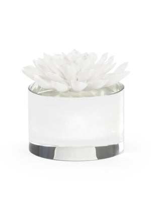 Succulent Sculpture | Chelsea House - 384543