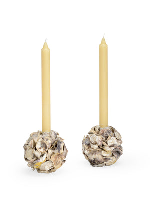 Oyster Shell Candleholder (Pr) | Chelsea House - 384571