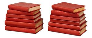 Shagreen Books, Set Of 12, Rooibos Tea | Sarreid - 54009-8