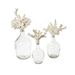 Set of 3 Glass Bottle Jars with Coral Stopper | Two's Company - 55065