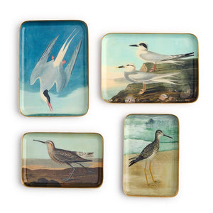 Set of 4 Sea Bird Metal Trinket / Desk Trays Incl 4 Designs / 2 Sizes | Two's Company - 55525