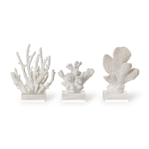 Set of 3 White Coral Sculptures on Acrylic Base Includes 3 Designs | Two's Company - 55546