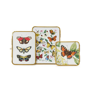 Set of 3 Metal Frames with Antique Gold Trim | Two's Company - 55665