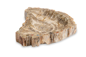 Large Brown Petrified Bowl | Maitland Smith - 8477-21-L