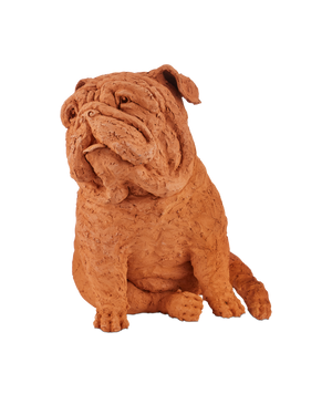 Leonard Churchill the Bulldog - Orange | Currey & Co - 1200-0960