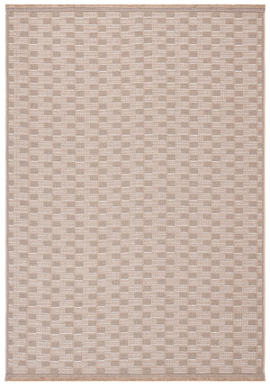 Aspect 402 Rug | Safavieh – APE402