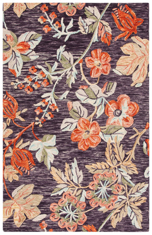Aspen 133 Rug | Safavieh - APN133