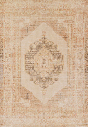 Chandler Rug Collection | Momeni - CHN-9