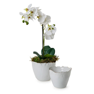 Set of 2 White Free Form Planter | Tozai Home - CYC048-S2