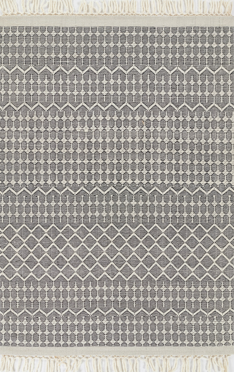 Momeni Rug Ember Collection | Black - EMBEREMR-1BLK2030