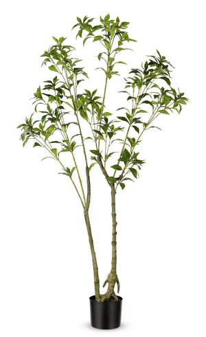 Faux 60" Potted Pieris Japonica | Safavieh - FXP2013