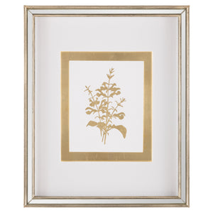 Golden Botanicals I | John Richard - GBG-3004A