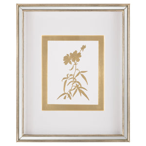 Golden Botanicals III | John Richard - GBG-3004C