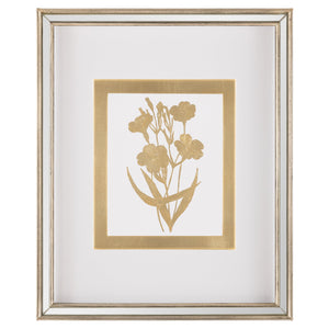 Golden Botanicals IV | John Richard - GBG-3004D