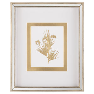 Golden Botanicals VII | John Richard - GBG-3004G