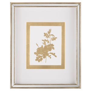 Golden Botanicals VIII | John Richard - GBG-3004H