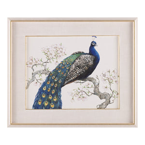 Tim O’Toole’s Peacock and Blossoms II | John Richard - GBG-3052B