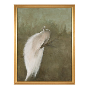 Debra Ferrari's The White Peacock | John Richard - GBG-3166
