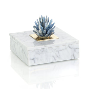Kyanite Starburst and Marble Box | John Richard - JRA-14339