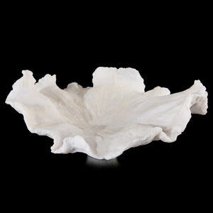 Floating Wave Bowl | John Richard - JRA-9875