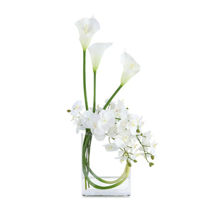 Snow White Blooms | John Richard - JRB-5601W