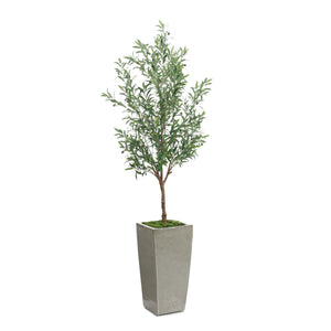 Garden Olive | John Richard - JRB-5611