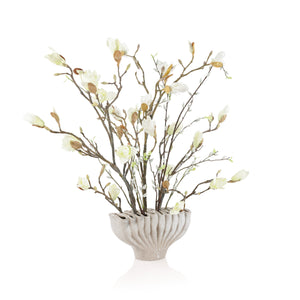 Coffee Magnolias | John Richard - JRB-5620