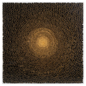 Tony Fey's Cosmic Radiance | John Richard - JRO-3302