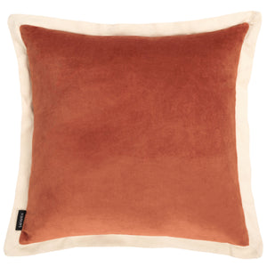 Jordy Cotton Pillow | Safavieh – PLS898