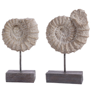 Toren Set Of 2 Conch Shell Table Decor | Safavieh - RDC1208