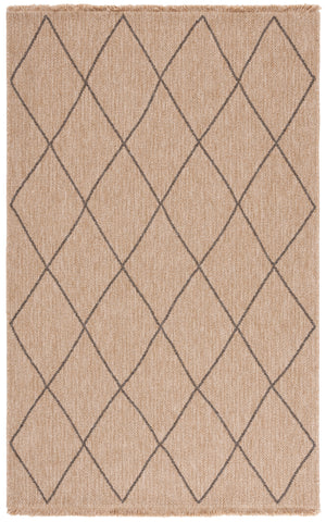 Retreat 256 Rug | Safavieh – RTE256