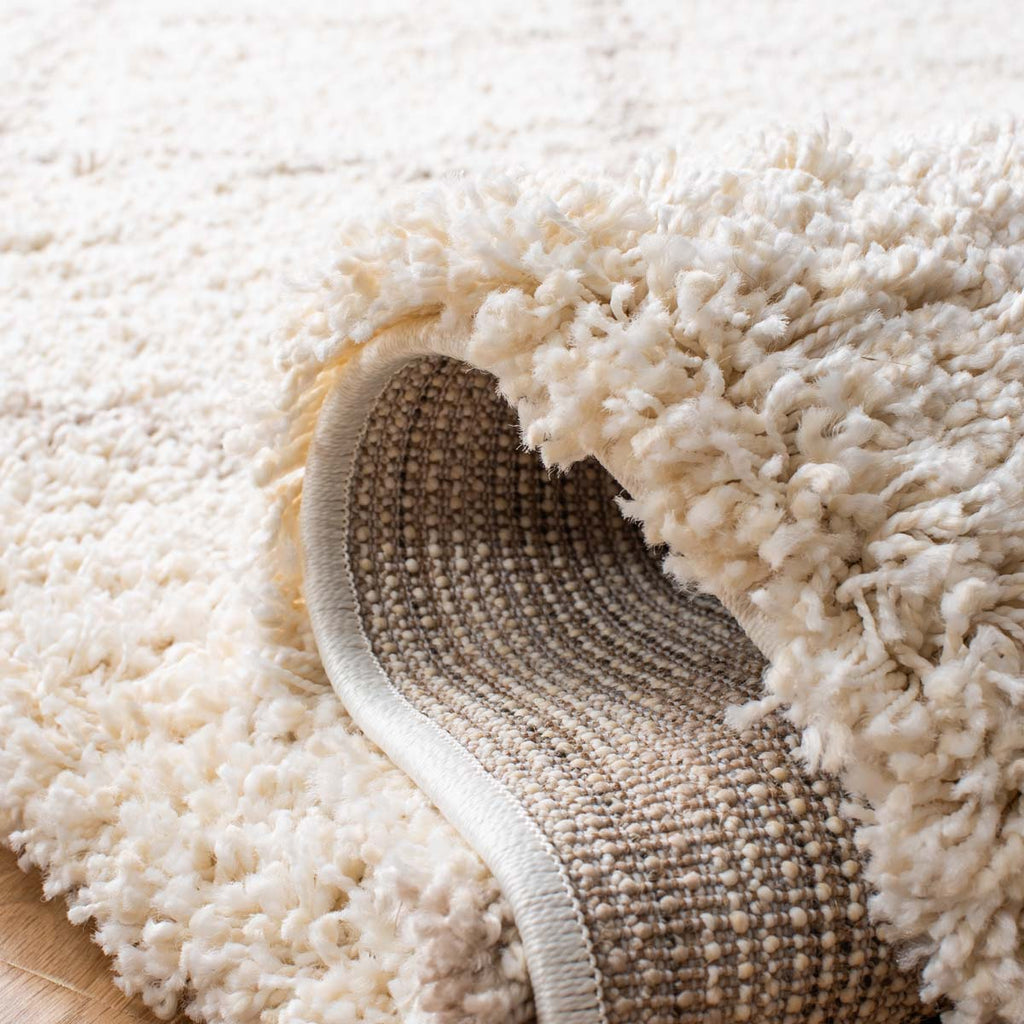 Safavieh Hudson Shag 222 Rug, SGH222