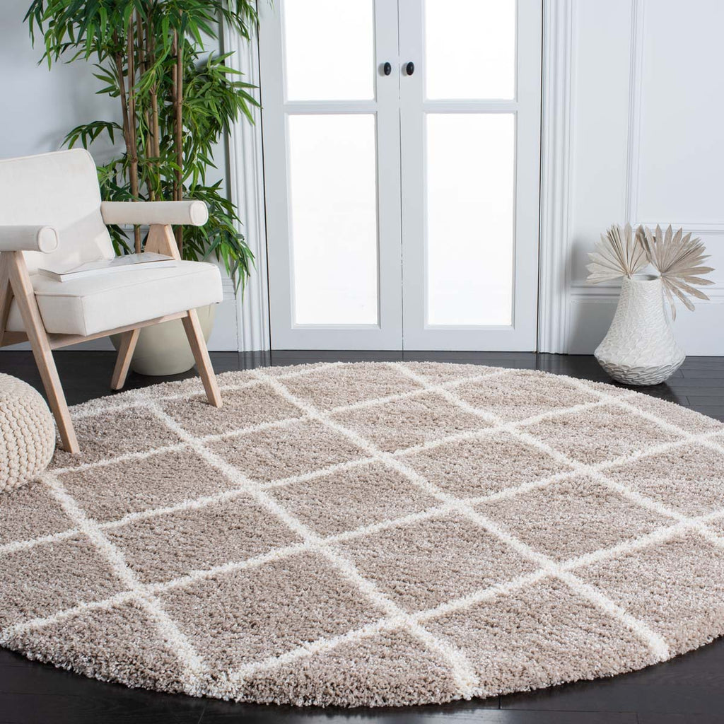 Safavieh Hudson Shag 222 Rug, SGH222