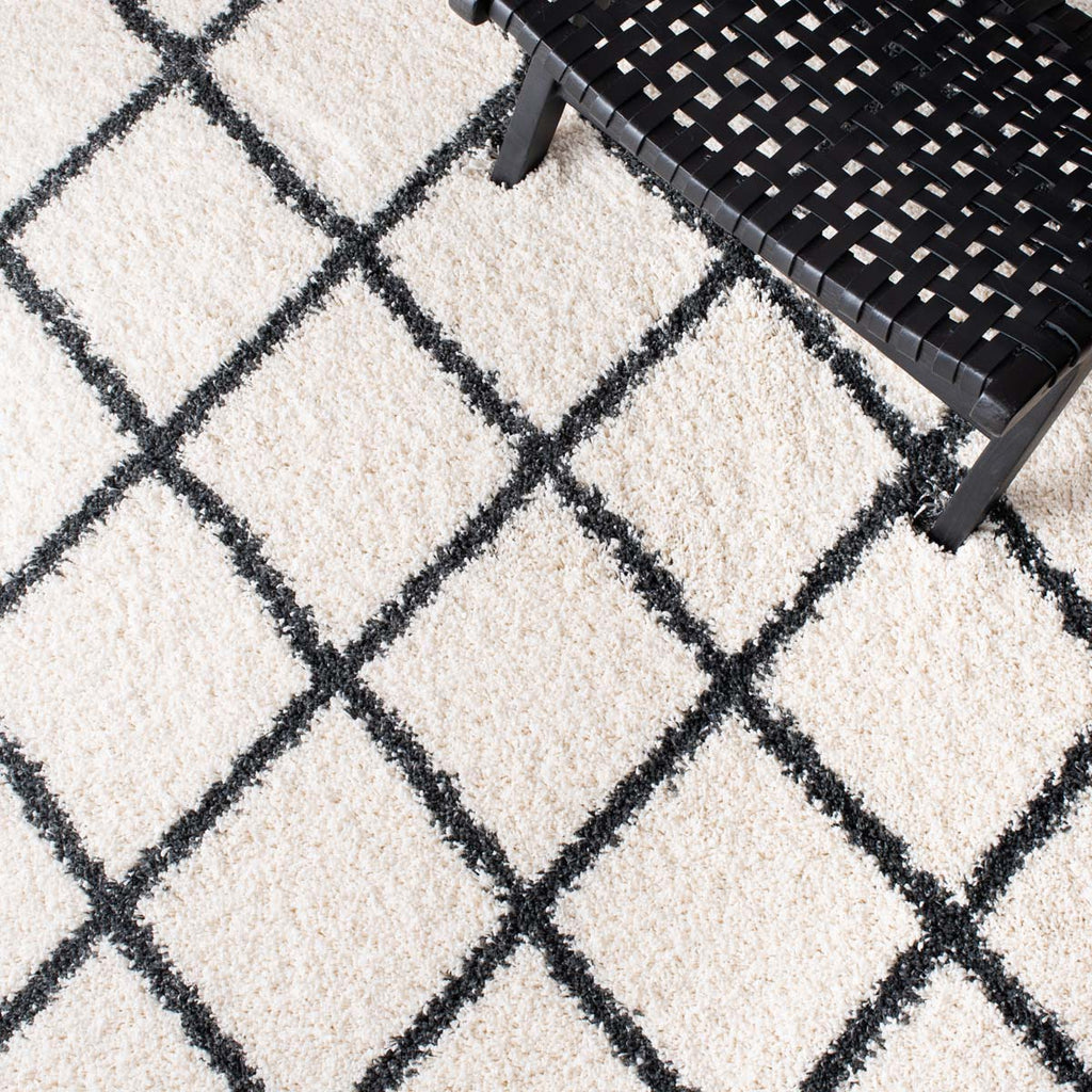 Safavieh Hudson Shag 222 Rug, SGH222