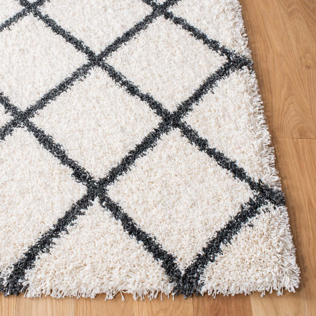 Safavieh Hudson Shag 222 Rug, SGH222
