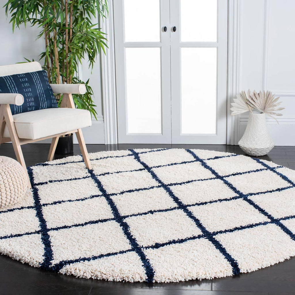 Safavieh Hudson Shag 222 Rug, SGH222