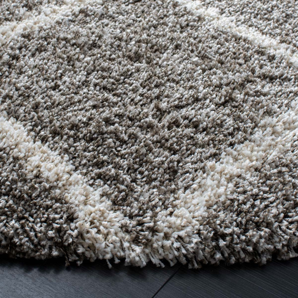 Safavieh Hudson Shag 222 Rug, SGH222