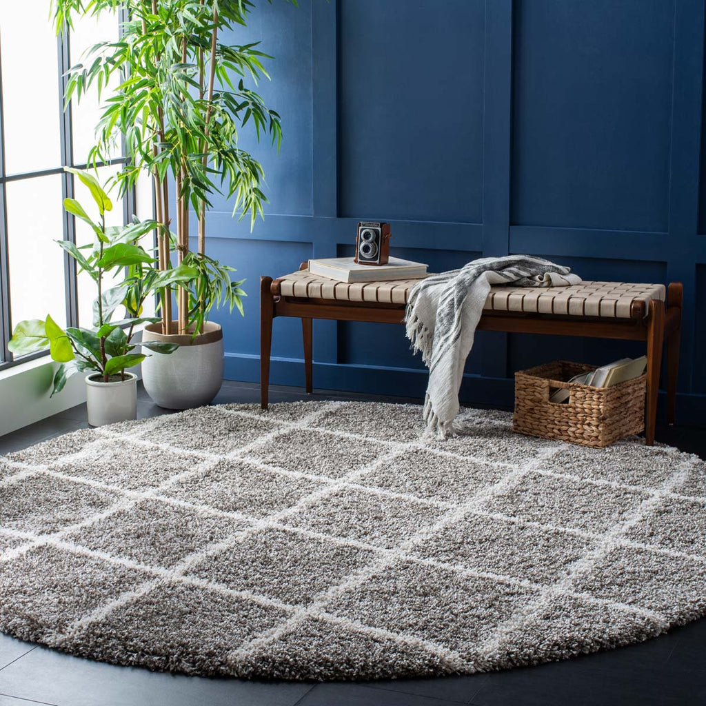 Safavieh Hudson Shag 222 Rug, SGH222